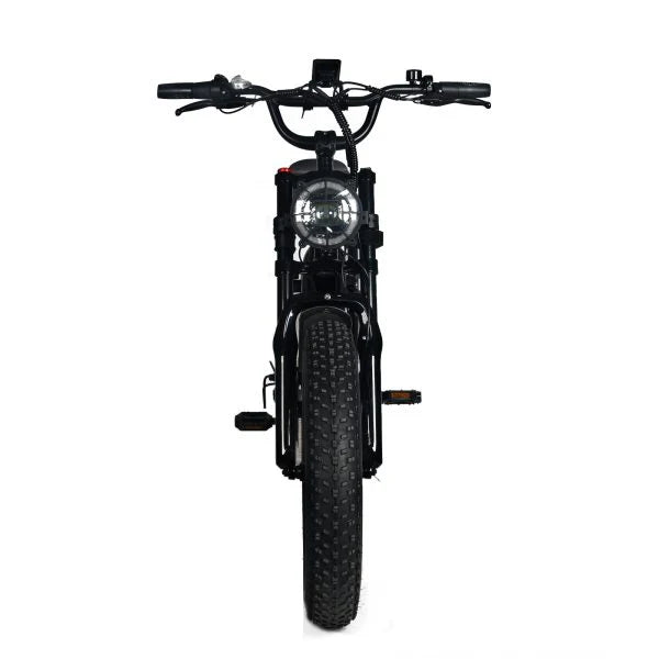 Electric Mountain Bike for Adults | 20 x 4.0 Fat Tires, 1000W Motor, 48V 20Ah Removable Battery, Max Speed 45MPH, Shi Mano 7-Speed for Off-Road Adventures