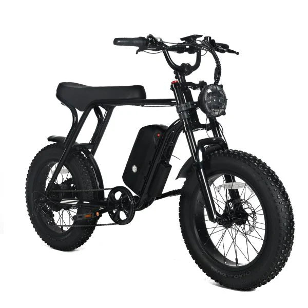 Electric Mountain Bike for Adults | 20 x 4.0 Fat Tires, 1000W Motor, 48V 20Ah Removable Battery, Max Speed 45MPH, Shi Mano 7-Speed for Off-Road Adventures